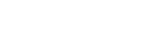 logo-w copy